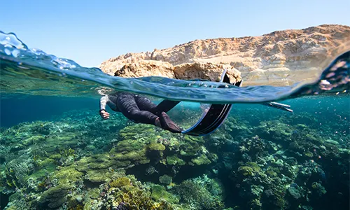 PADIダイビングスクール